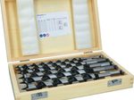 BOSCH Schlangenbohrer-Set PRO Wood 6-teilig