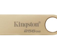Kingston Technology DataTraveler SE9 G3 USB-Stick - 256 GB