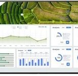 Sony Bravia FW-75BZ30L/TM 4K HDR Signage Display 190,5 cm 75 Zoll