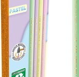 BIC® Bleistifte EVOLUTION PASTEL 12 St.