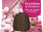 AIRWICK Raumduft-Nachfüller Kirschblüte & Himbeere 20 ml