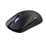 Trust Gaming GXT 980 Redex Wiederaufladbare kabellose Gaming-Maus - Schwarz