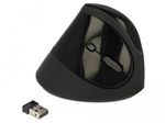 Delock Ergonomic - kabellose vertikale Maus - Schwarz