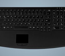 Active Key AK-7410-G Tastatur - PS/2 - Deutsch - Schwarz