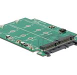 DeLOCK Converter 22 pin > M.2 NGFF - Speicher-Controller