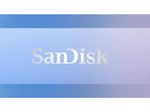 SanDisk Creator USB-Stick 256 GB