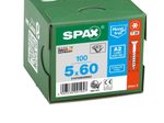 SPAX® Universalschrauben A2 T20 5x60 100 St.