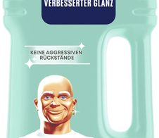 Meister Proper FRÜHLINGSERWACHEN Allzweckreiniger 1,00 l