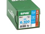 SPAX® Universalschrauben T30 6x100 100 St.
