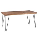 WOHNLING Esszimmertisch WL1.501 sheesham
