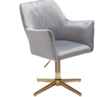 WOHNLING Esszimmerstuhl Samt WL6.305 grau