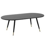 WOHNLING WL6.872 Couchtisch Schwarz 120 cm x 60 cm x 42 cm