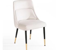 WOHNLING Esszimmerstuhl Samt WL6.998 beige