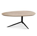 WOHNLING WL7.157 Couchtisch Mango 87 cm x 49 cm x 36 cm