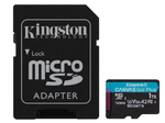 Kingston Canvas Go! Plus Flash-Speicherkarte - 1 TB