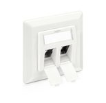 PureLink Keystone Unterputzdose - Weiß