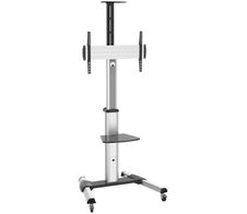 PureMounts TV Cart - Single Display bis 70 Zoll