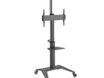 PureMounts Premium TV Cart - Single Display bis 70", schwarz