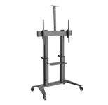 PureMounts Premium TV Cart - Single Display bis 120", schwarz