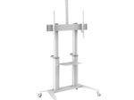 PureMounts Premium TV Cart - Single Display bis 120", weiß