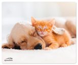 Speedlink SILK Mauspad, Hund & Katze