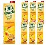 Amecke Sanfte Säfte Multivitamin Direktsaft