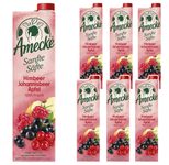 Amecke Sanfte Säfte Himbeere Johannisbeere Apfel Fruchtsaftkonzentrat