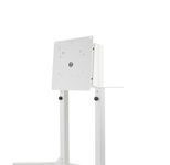 edbak Trolley mit drehbarem Kopf und Höhenverstellung für Samsung Flip 55-65 Zoll