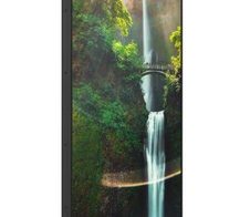 Hisense 55WH80F High Brightness Display 55 Zoll (139,7 cm)