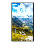 Hisense 65WF45H High Brightness Display 65 Zoll (165,1 cm)