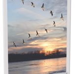 MAUL MAULvision Tischaufsteller DIN A6