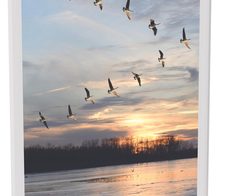 MAUL MAULvision Tischaufsteller DIN A6