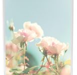 MAUL MAULvision Tischaufsteller DIN A4