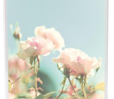 MAUL MAULvision Tischaufsteller DIN A4