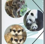 PAGNA Eckspanner Cute DIN A4 Bären