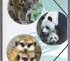 PAGNA Eckspanner Cute DIN A4 Bären