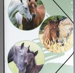 PAGNA Eckspanner Lovely DIN A4 Pferde