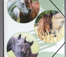 PAGNA Eckspanner Lovely DIN A4 Pferde