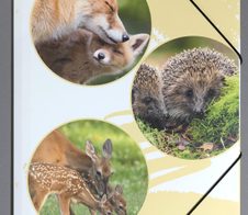 PAGNA Eckspanner Native DIN A4 Waldtiere