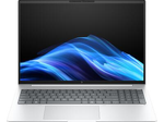 HP EliteBook 8 G1a AMD Ryzen™ 5 230 Notebook AI PC 40.6 cm (16")