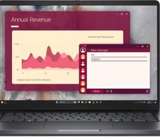 Dell Pro PC14250 Intel Core 5 120U Notebook 35,6 cm (14")