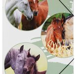 PAGNA Eckspanner Lovely A3 Pferde