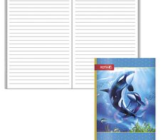 ROTH Schulheft Orcas liniert DIN A6 32 Blätter