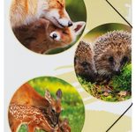 PAGNA Eckspanner Native A3 Waldtiere