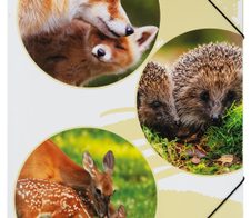 PAGNA Eckspanner Native A3 Waldtiere