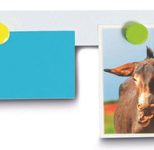 MAUL Ferro Magnetleiste 0,5m