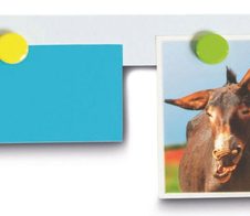 MAUL Ferro Magnetleiste 0,5m