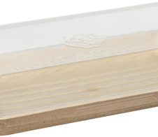 STARPAK Einweg-Menüschalen pure