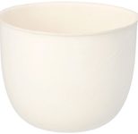 PAPSTAR Zuckerrohr-Schalen Evidence