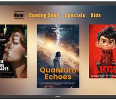 Philips 43BDL3751T Signage Touch Display 108 cm 42,5 Zoll